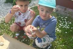 IMG-20230619-WA0101-Copy