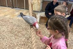 IMG-20240125-WA0197-Copy