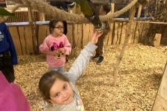 IMG-20240125-WA0199-Copy