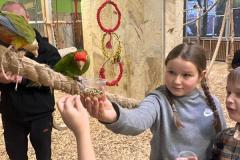 IMG-20240125-WA0206-Copy