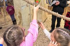 IMG-20240125-WA0214-Copy