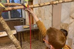 IMG-20240125-WA0215-Copy