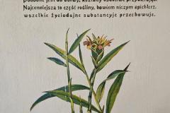 IMG-20240823-WA0347-Copy