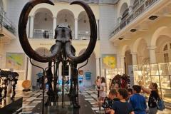 IMG-20230831-WA0264-Copy