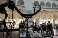 IMG20230830101136-Copy