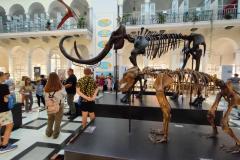 IMG20230830103312-Copy