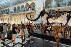 IMG20230830103342-Copy