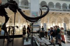 IMG20230830103417-Copy