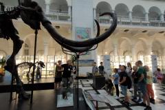 IMG20230830103420-Copy